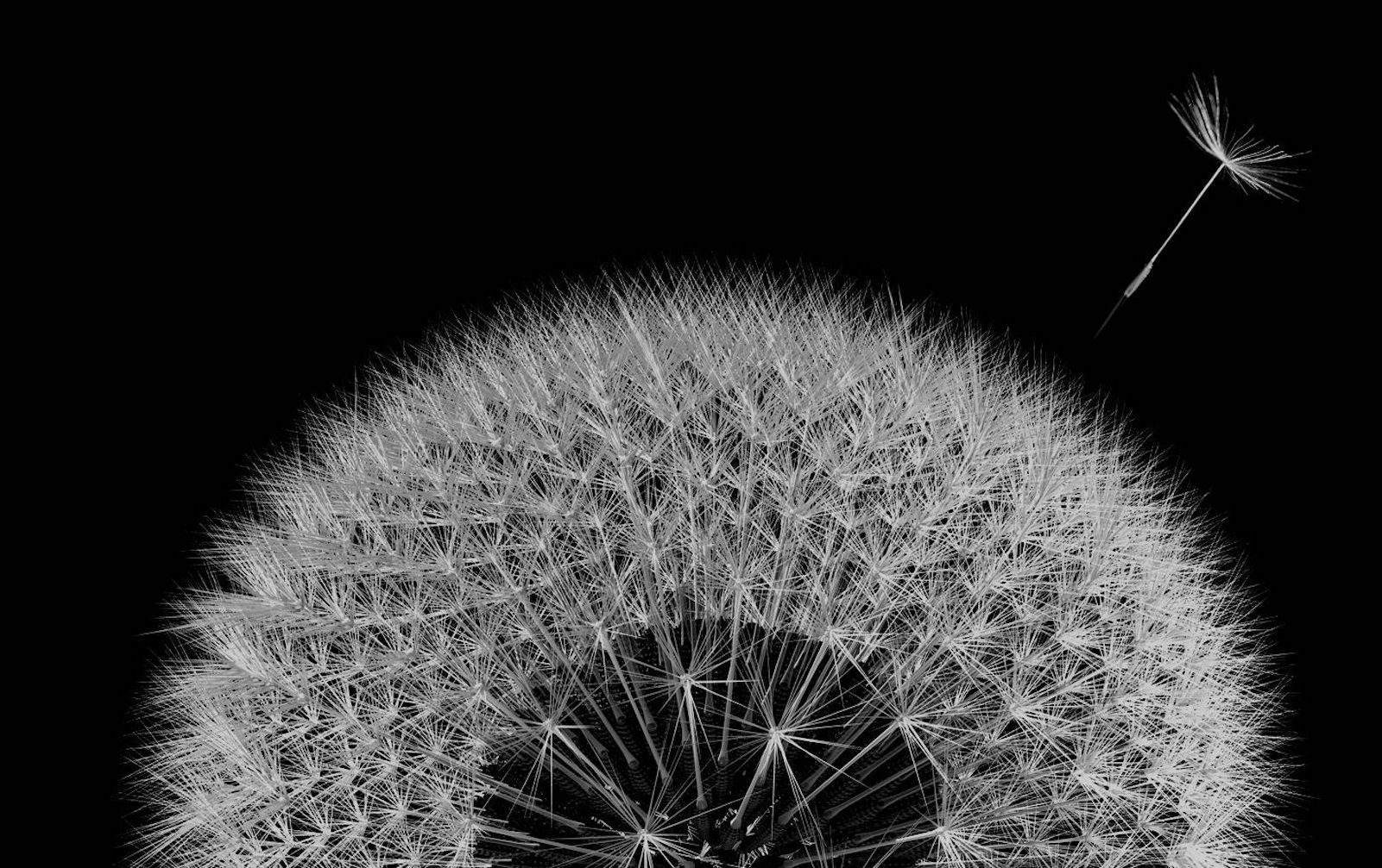 AV Equipment Hire in Paris